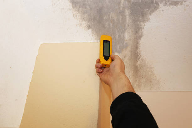 Best Dehumidification Services  in Batesburg Leesville, SC