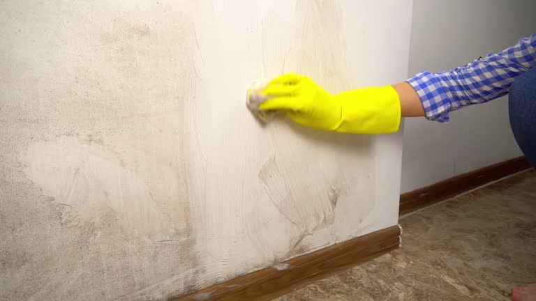 Best Mold Remediation for Healthcare Facilities  in Batesburg Leesville, SC