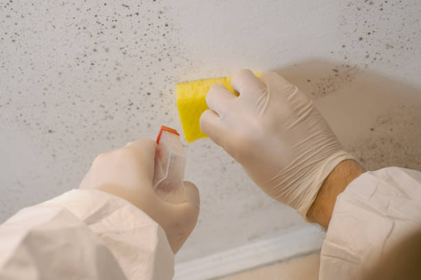 Best Air Quality Testing for Mold Spores  in Batesburg Leesville, SC